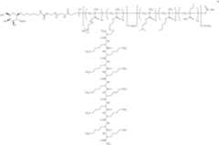 Figure US10646582-20200512-C00214