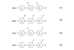 Figure 2024079817000060