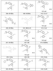 Figure imgf000376_0001