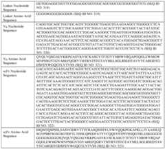 Figure imgf000075_0001