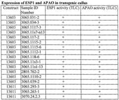Figure imgf000058_0001