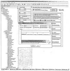 Figure 112005510106899-PCT00441