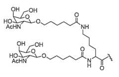 Figure 2023012548000948