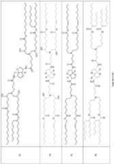 Figure imgf000101_0001