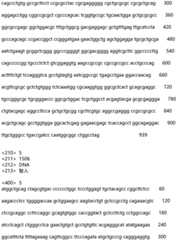 Figure IDA0002935257620000041