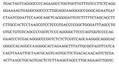 Figure 104109152-A0202-12-0113-72