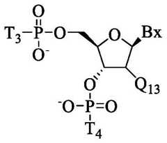 Figure BDA0003357312860002172