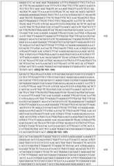 Figure imgf000078_0001