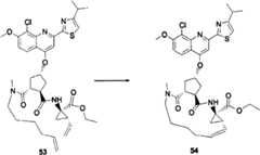 Figure BSA00000676350900712