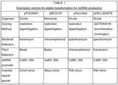 Figure imgf000029_0001