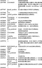 Figure BDA0000057170160000991