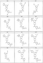 Figure imgf000046_0001