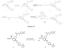 Figure imgf000435_0001