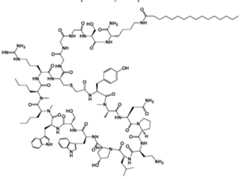 Figure imgf000174_0001