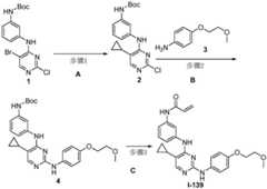 Figure BDA0001453135130002441