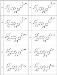 Figure PCTCN2021093930-appb-000032