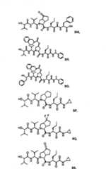 Figure BSA00000606821200741