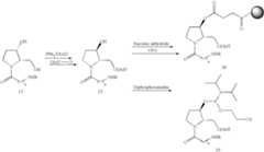 Figure US07582744-20090901-C00039