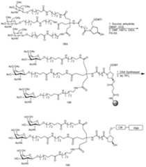 Figure imgf000297_0001