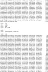 Figure IDA0002536600790001041