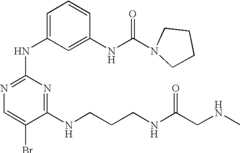 Figure US07504410-20090317-C00974