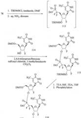 Figure imgf000131_0001