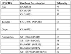 Figure imgf000052_0001