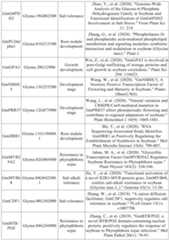 Figure PCTCN2022090268-appb-000035