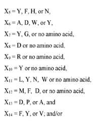 Figure imgf000117_0003