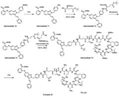 Figure imgf000107_0001
