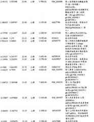 Figure BPA00001280678303401