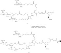 Figure US09181549-20151110-C00623