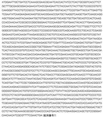 Figure 2024542085000017