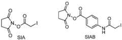 Figure imgf000035_0002