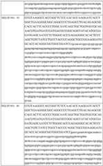 Figure BDA0002742983620000581