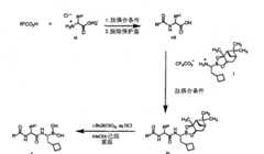 Figure BPA00001362933400271