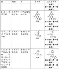 Figure BDA0003122494520000501