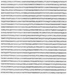 Figure 112013088873035-pat00090