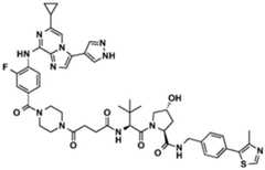 Figure BDA0002964098100001622