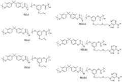 Figure BDA0003289381690000761