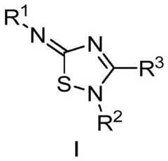 Figure FDA0004216827470000011