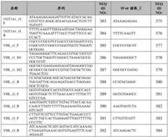 Figure BDA0002379404260001191