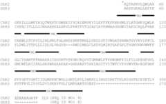 Figure US09079940-20150714-C00001