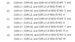 Figure imgf000052_0001