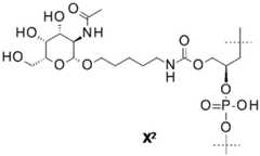 Figure BDA0002550837380000241