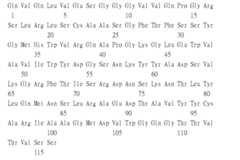 Figure 109115264-A0305-02-0238-96