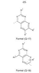 Figure imgf000024_0001