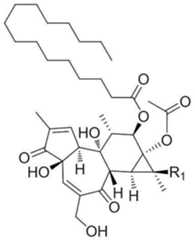 Figure 112014010606259-pat00014