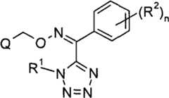 Figure BPA00001573231100013