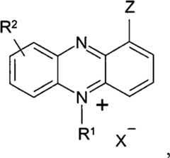 Figure BPA00001263293900361